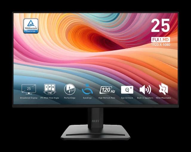 MSI PRO MP252 E2
